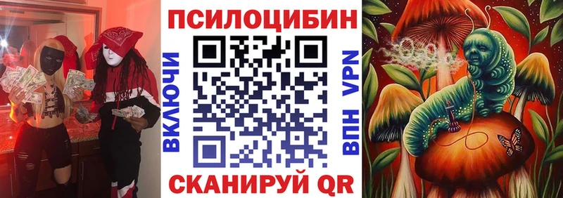 где купить наркоту  Темрюк  Псилоцибиновые грибы MAGIC MUSHROOMS 